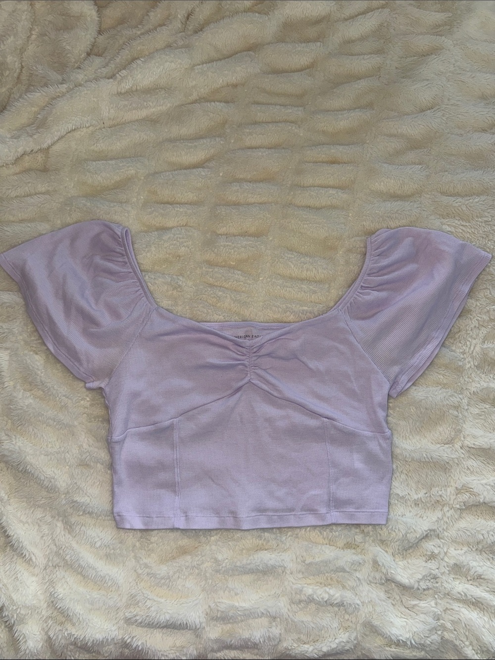 American Eagle Crop Top